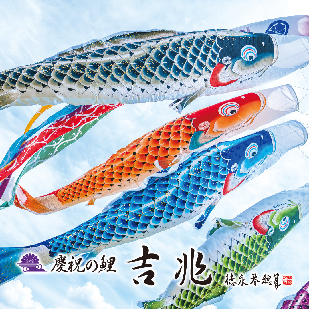 慶祝の鯉【吉兆】大型6点セット