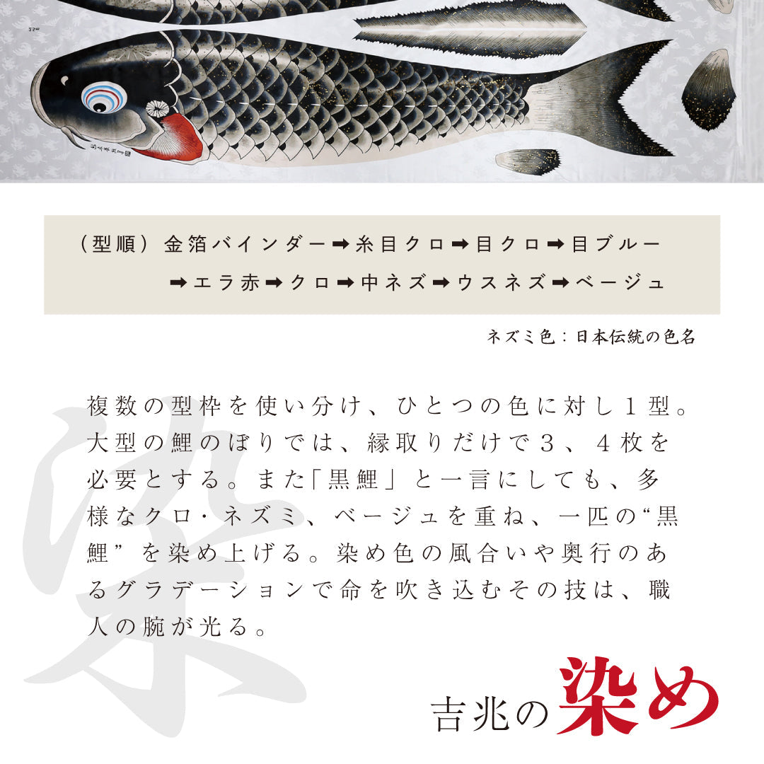 慶祝の鯉【吉兆】大型6点セット