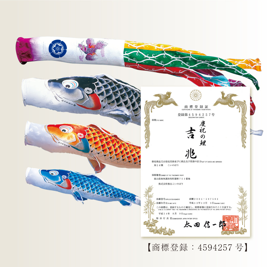 慶祝の鯉【吉兆】大型6点セット