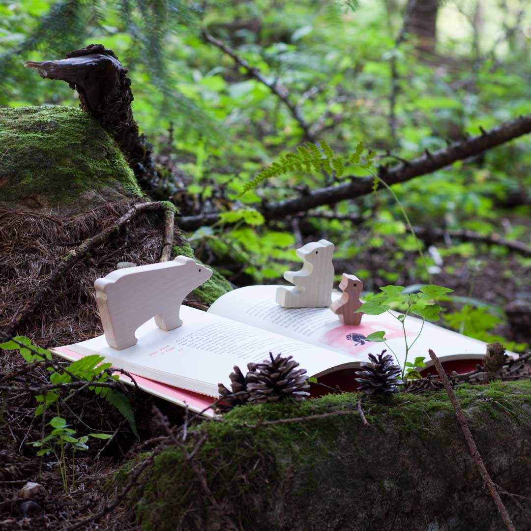 Blocs d'animaux de la forêt Oak Village