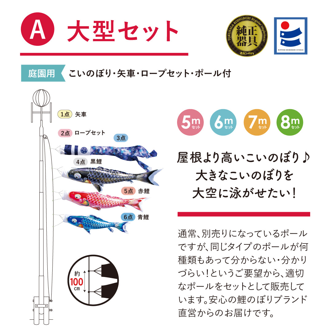 よろこびの鯉【千寿】6点大型セット