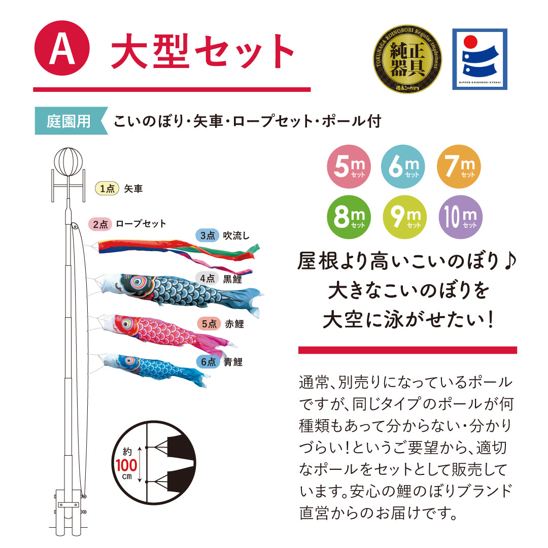 【友禅鯉】6点大型セット