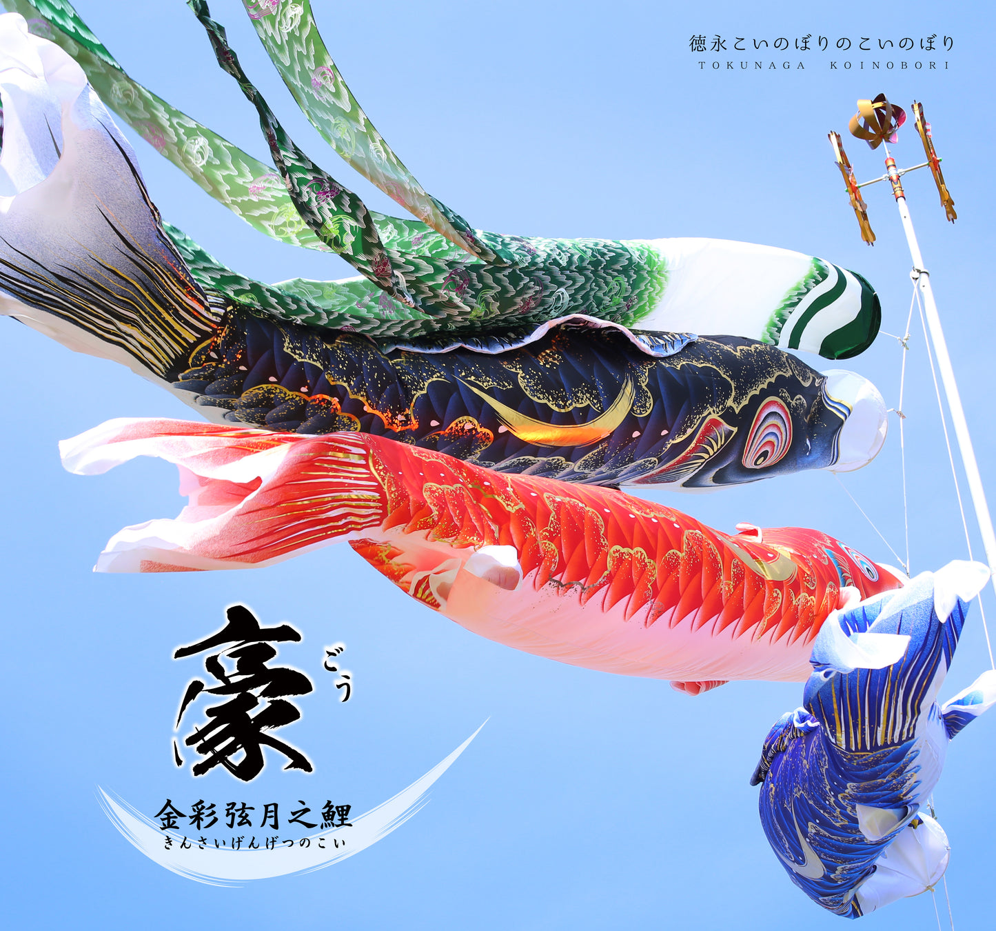 金彩弦月之鯉【豪】6点大型セット