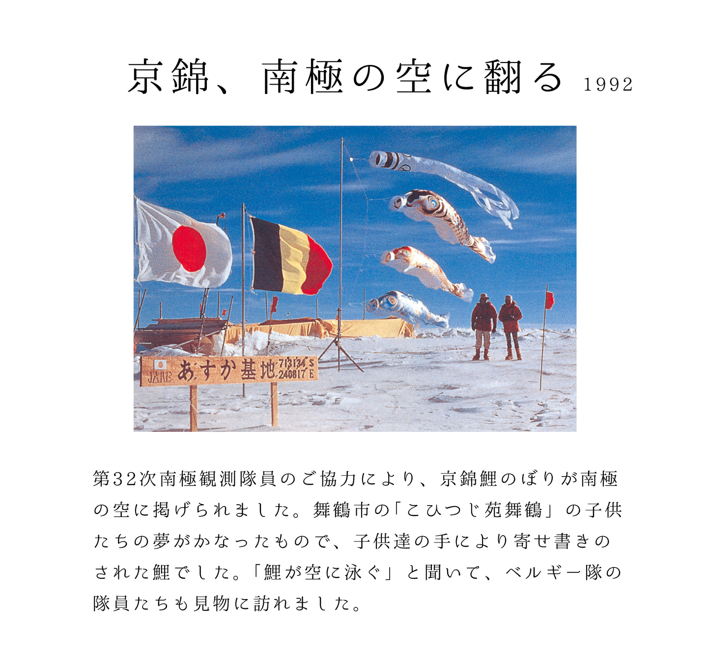 献上手染友禅之鯉【京錦】6点 庭園スタンドセット