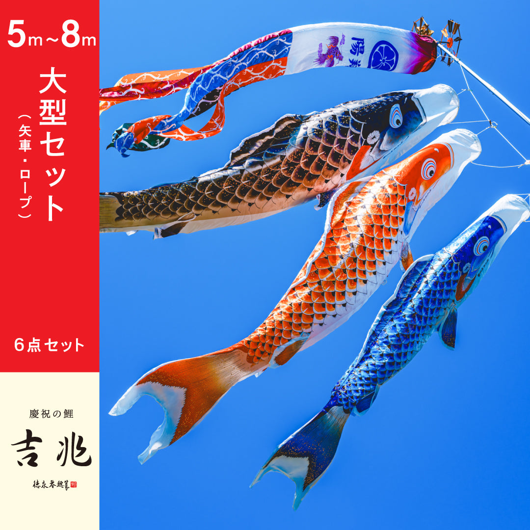 慶祝の鯉【吉兆】大型6点セット