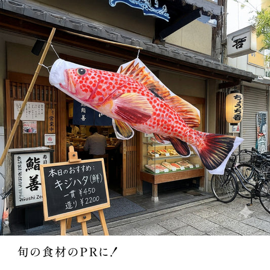 1.5m キジハタのぼり のぼり水族館