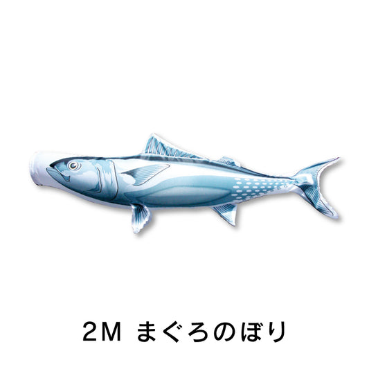 Tuna Climbing Nobori Aquarium