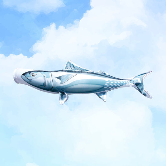 Tuna Climbing Nobori Aquarium
