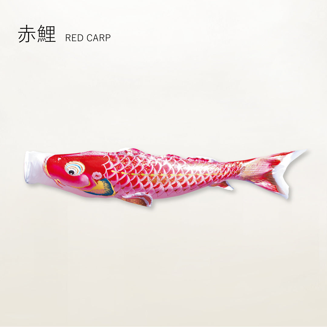 赤鯉 よろこびの鯉【千寿】単品鯉のぼり – 晴れと暮らす