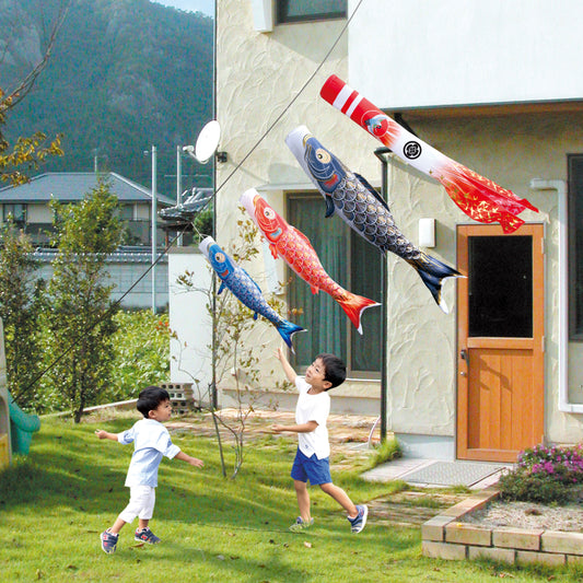 黄金の輝き鯉【真・太陽】6点にわデコセット