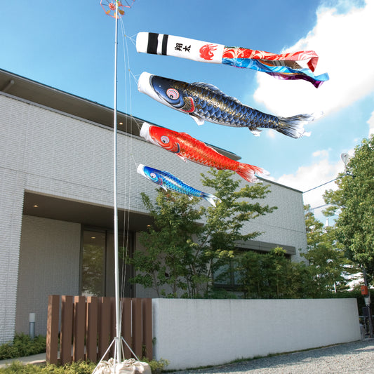 【 晴れと暮らす限定 】五煌の鯉 6点 庭園スタンドセット