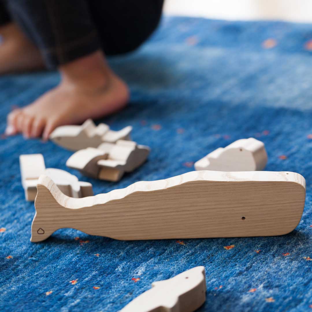Créatures marines Blocs Oak Village