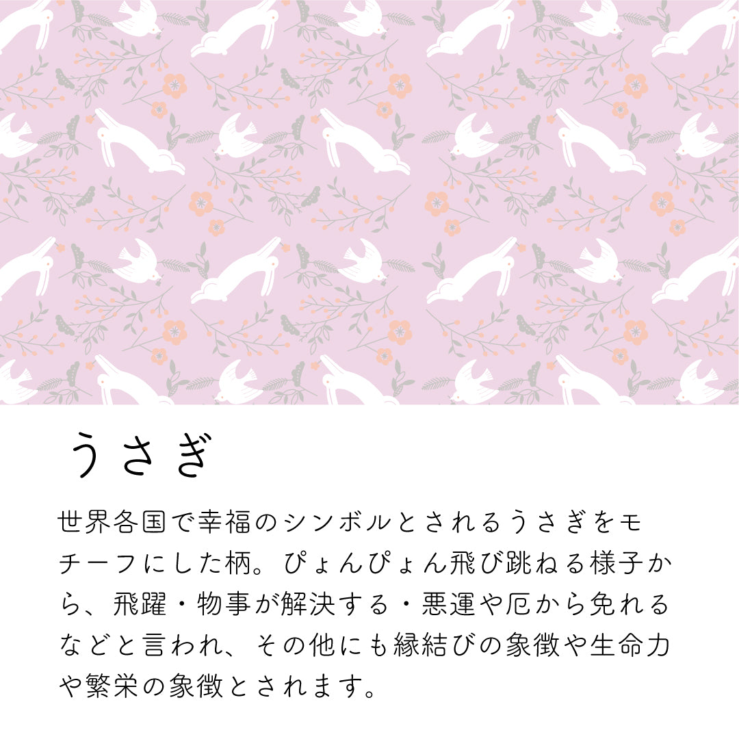 花ころも うさぎ 和紙あかり Puca プーカの衣装着【数量限定】