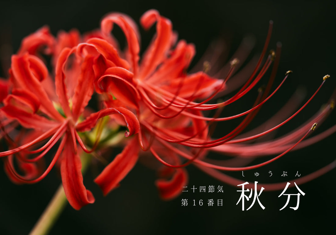 第16番【秋分】