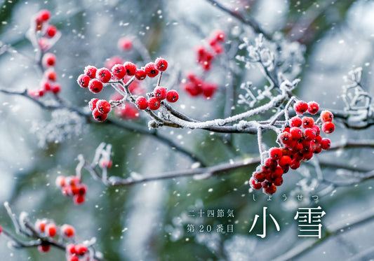 第20番【小雪-しょうせつ】