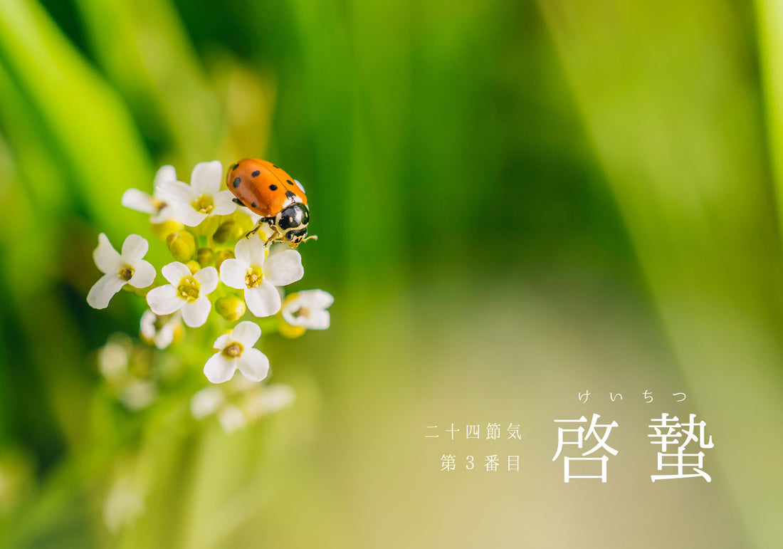 第3番【啓蟄（けいちつ）】