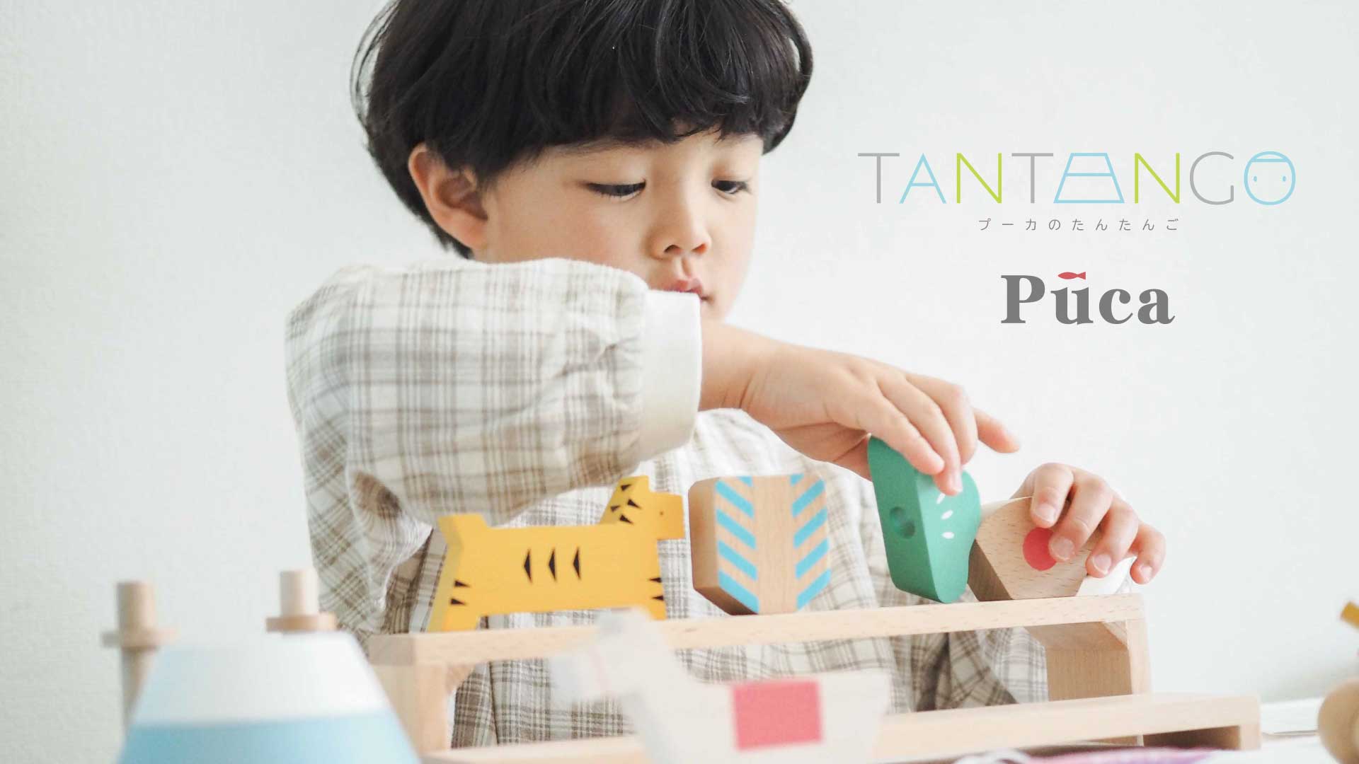 【Puca】TANTANGO