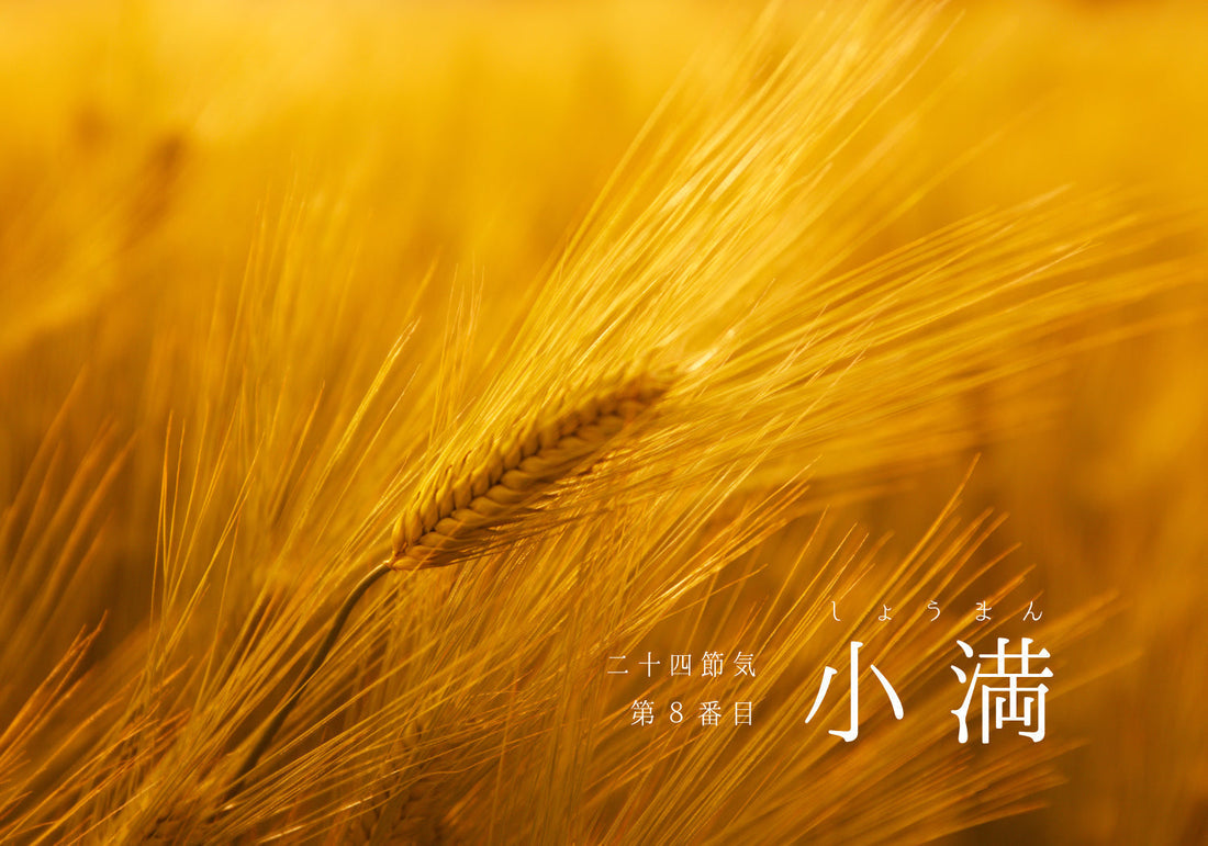 第８番「小満」