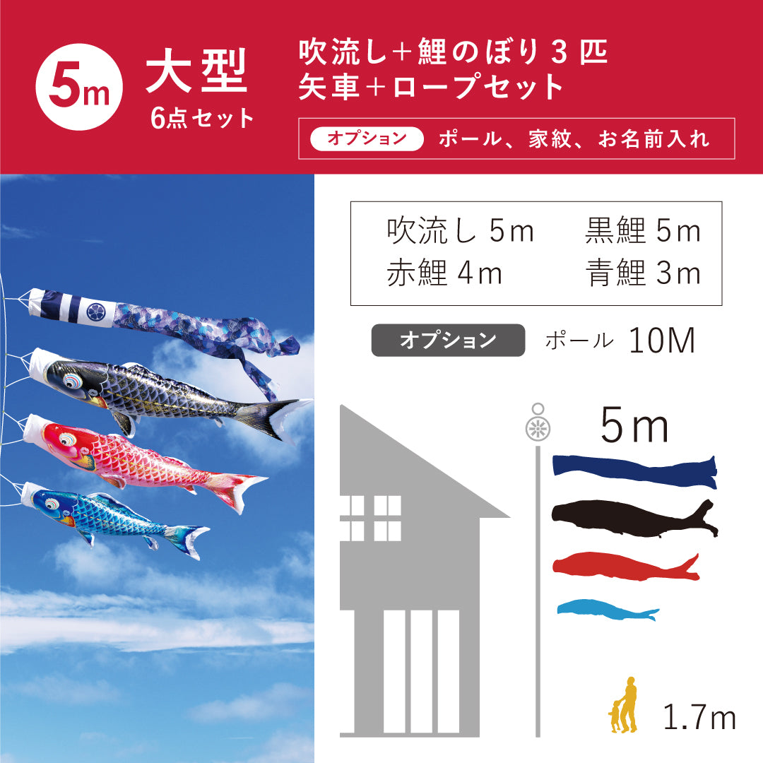 よろこびの鯉【千寿】６点大型セット