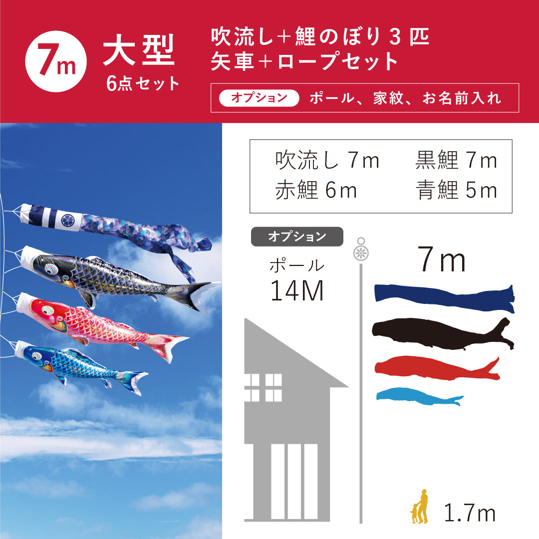 よろこびの鯉【千寿】６点大型セット