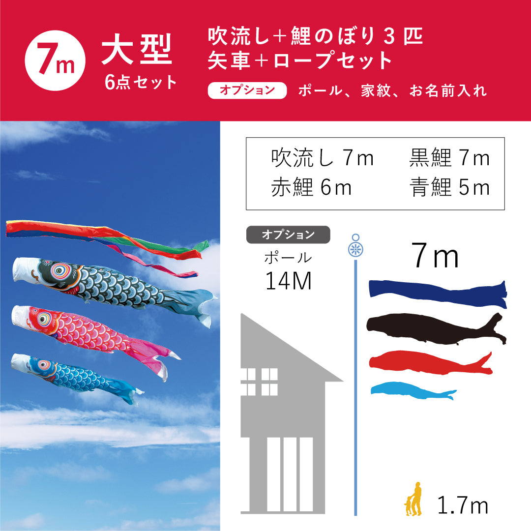 【友禅鯉】６点大型セット