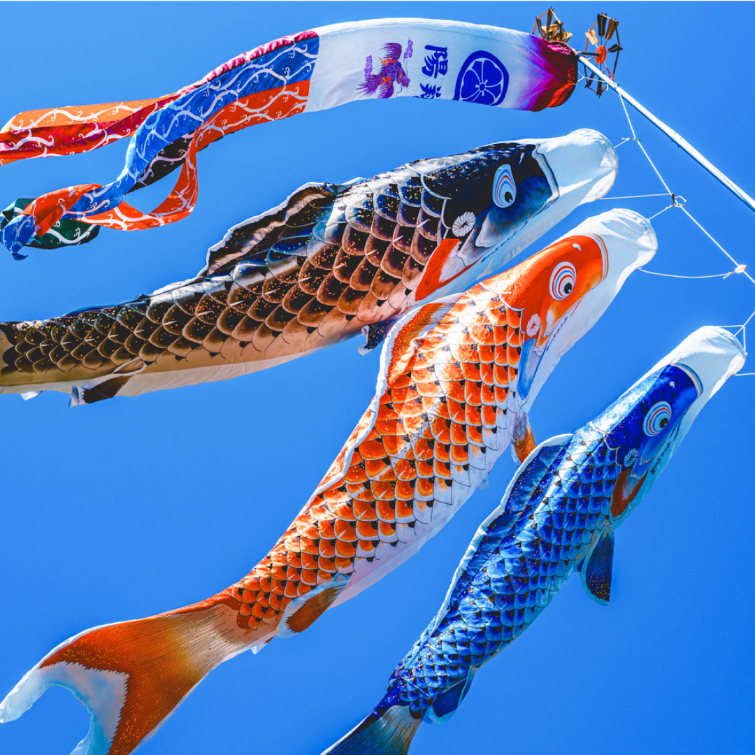 金具は鯉などに付いたままです鯉のぼり　吉兆　４ｍ セット　ポリエステル ジャガード織　桐箱　カタログ　付き