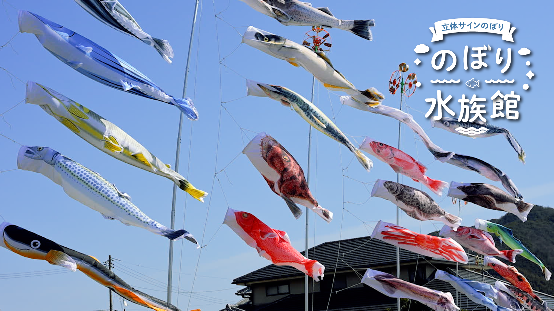 動画を読み込む: 