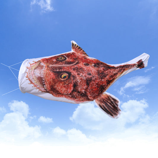 1.5ｍ　アンコウのぼり　のぼり水族館