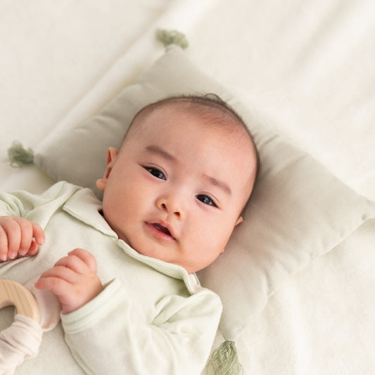 [toumei] Gold foil chopstick rest, wooden box, 5 pieces, Masuki Resin