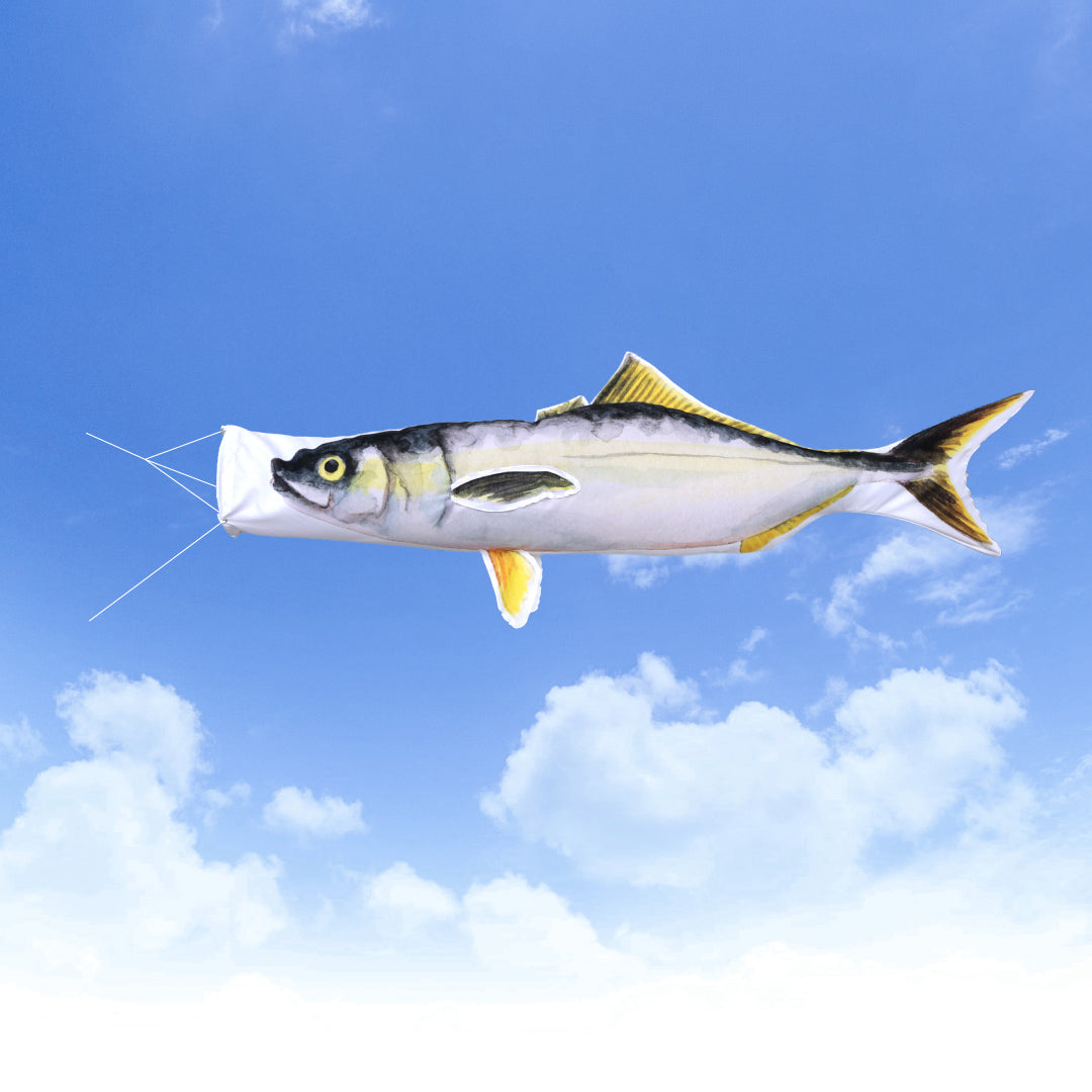 2ｍ　ブリ・ハマチのぼり　のぼり水族館