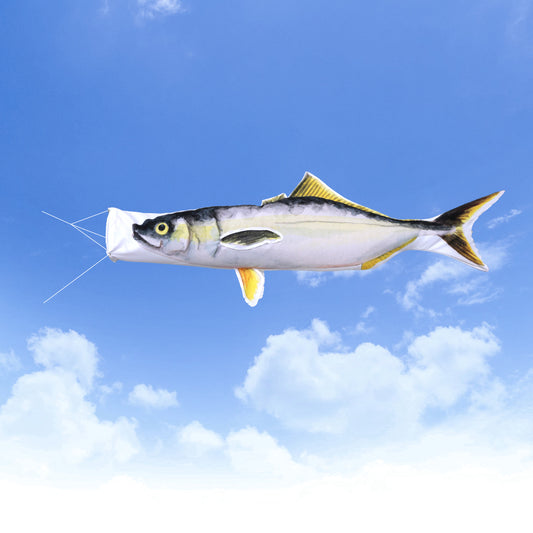 2ｍ　ブリ・ハマチのぼり　のぼり水族館