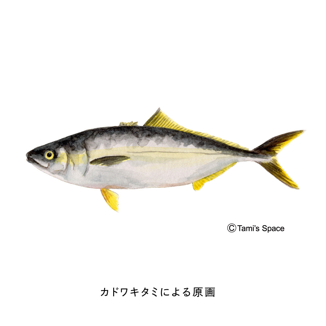 2ｍ　ブリ・ハマチのぼり　のぼり水族館