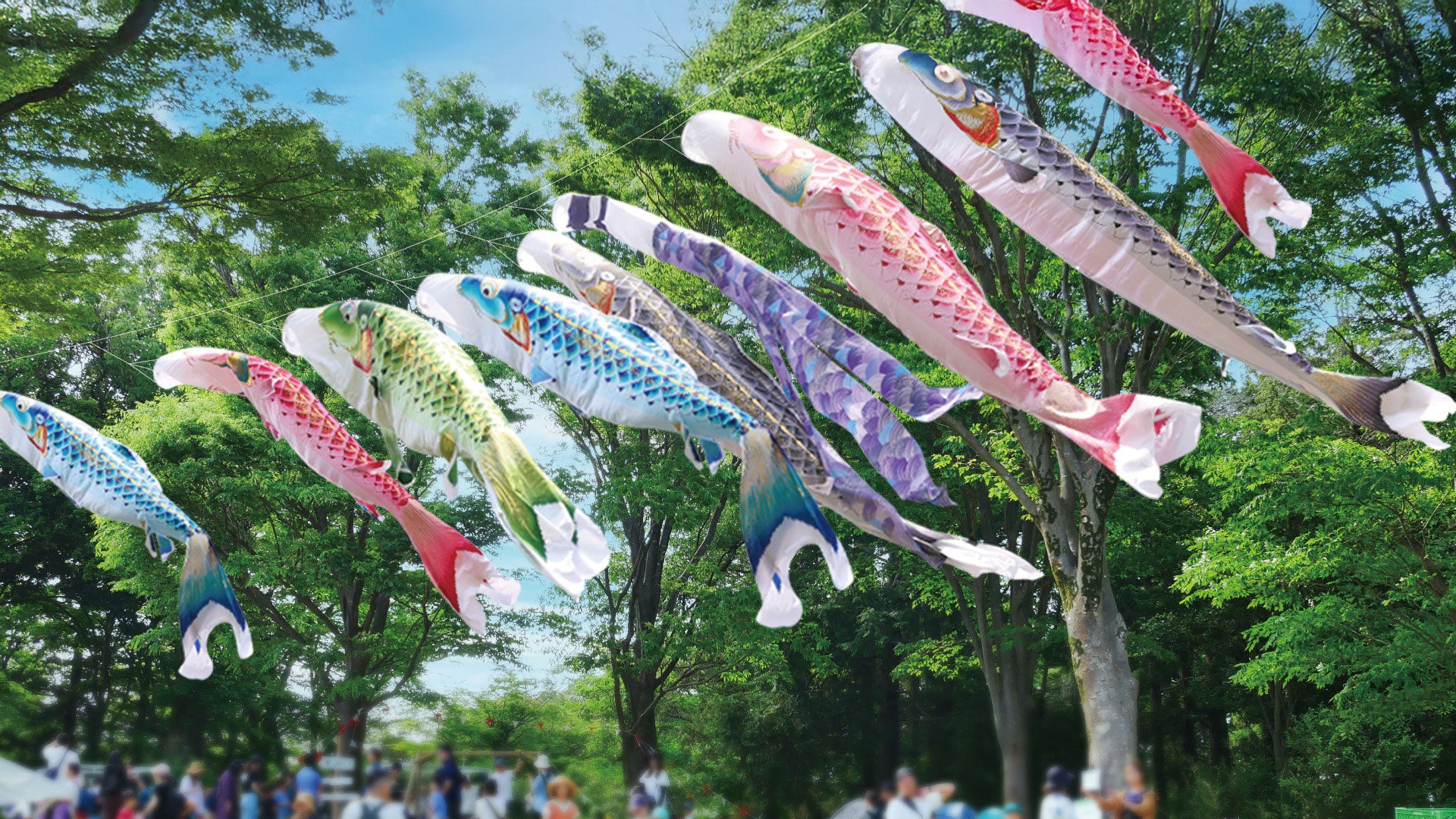 お祝いギフト 晴れと暮らす | 徳永こいのぼり公式オンラインショップ