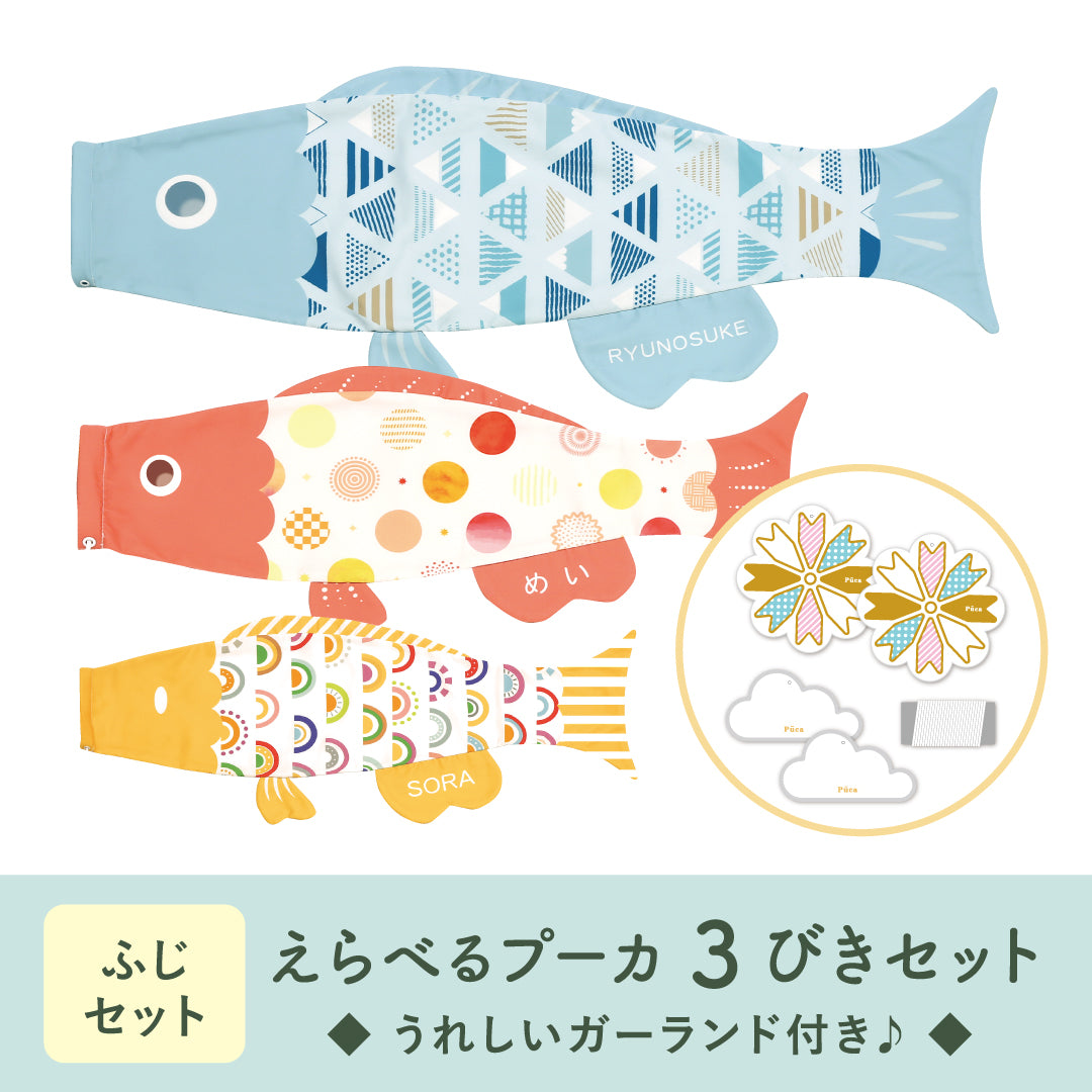Choose your own Puka set: 3 Fuji apples 