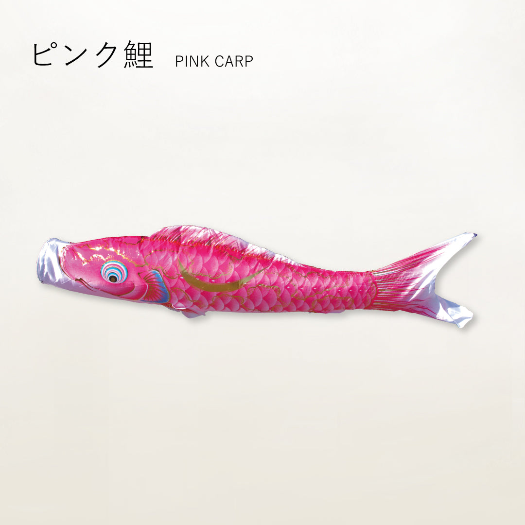 Amazon.co.jp: 錦鯉A~Z : 本