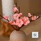 "Flower Banquet" Ai Haibara's Hina Dolls