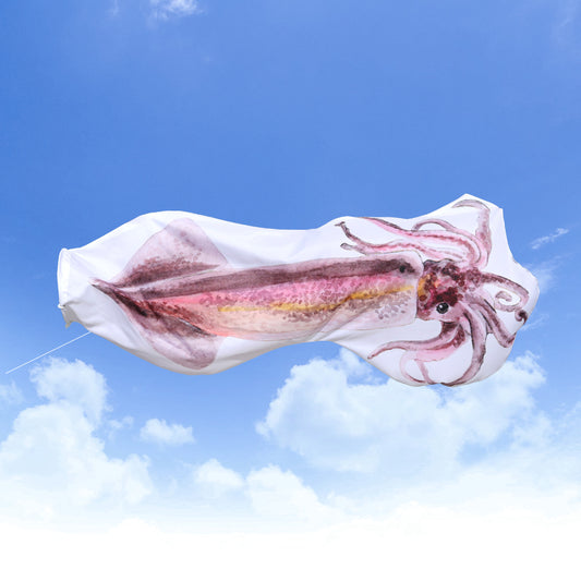 1.5ｍ　スルメイカのぼり　のぼり水族館