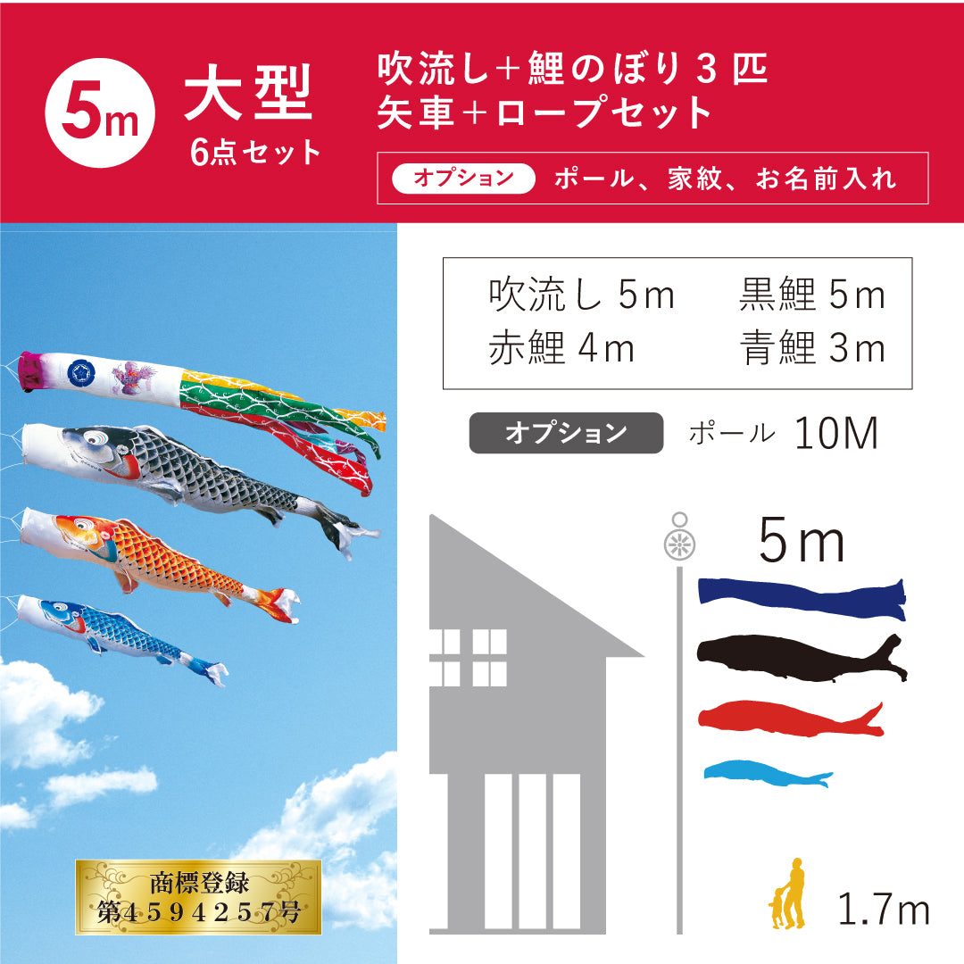 慶祝の鯉【吉兆】大型６点セット