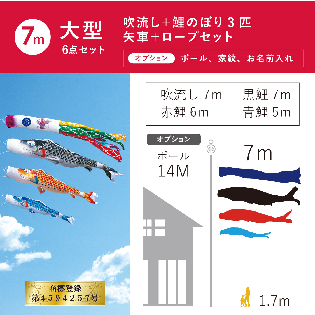 慶祝の鯉【吉兆】大型６点セット