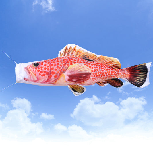 1.5ｍ　キジハタのぼり　のぼり水族館