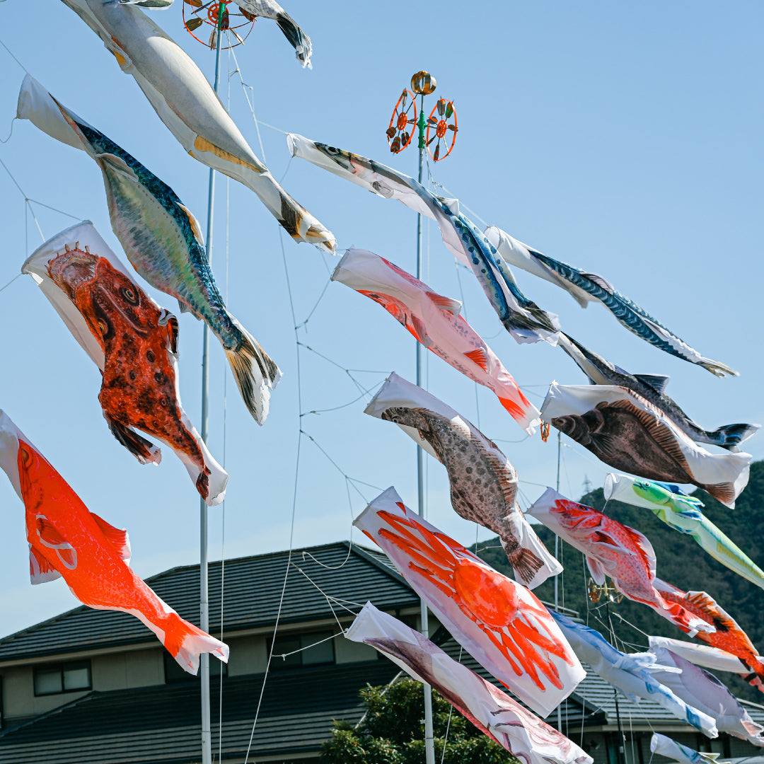 1.5ｍ　マダイのぼり　のぼり水族館