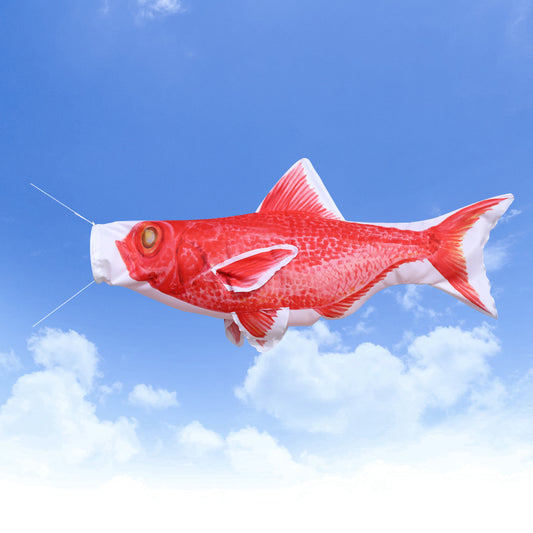 1.5ｍ　キンメダイのぼり　のぼり水族館