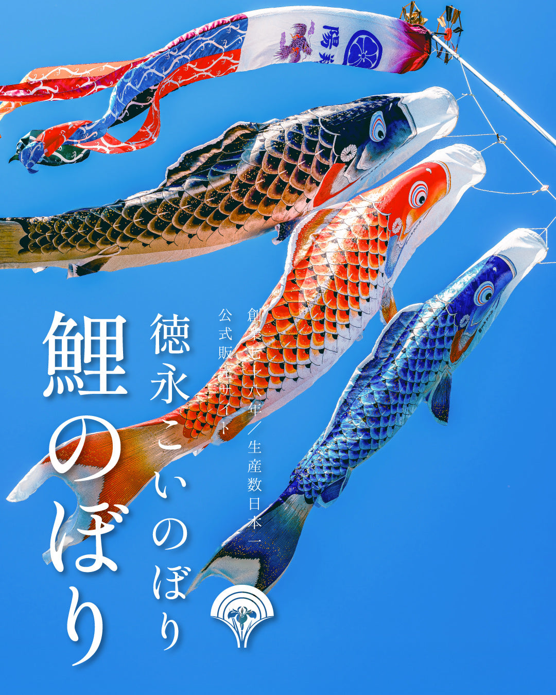 koinobori_SP.jpg?v=1782712308&