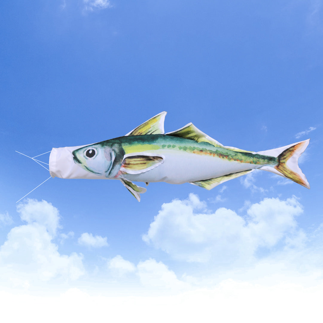 2ｍ　マアジのぼり　のぼり水族館