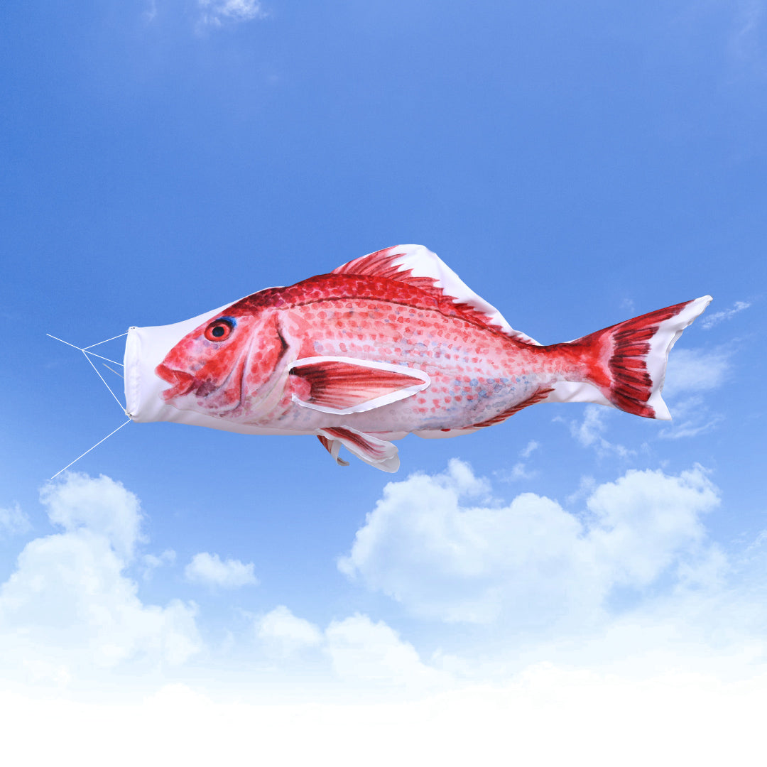 1.5ｍ　マダイのぼり　のぼり水族館