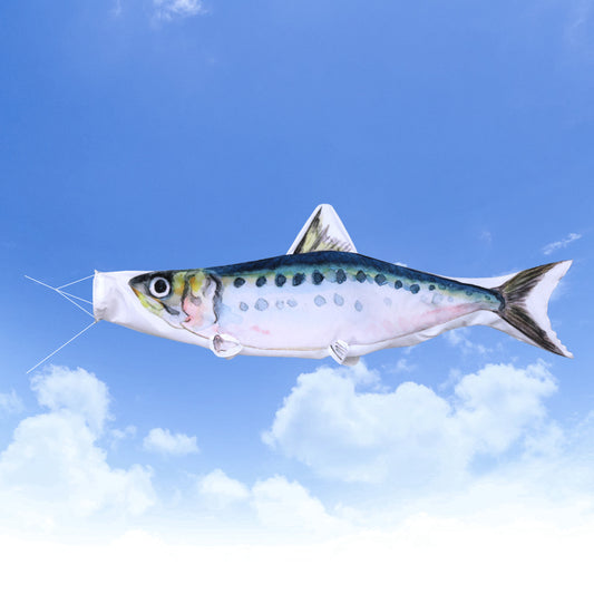 2ｍ　マイワシのぼり　のぼり水族館