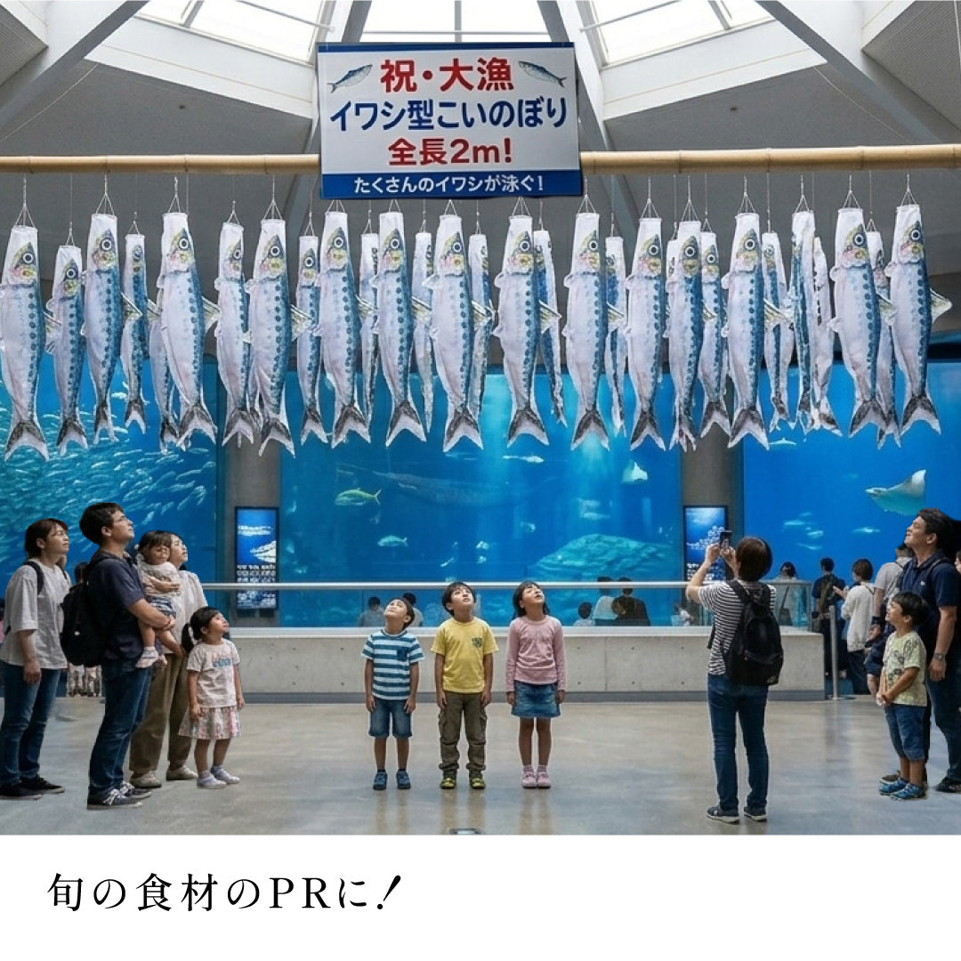 2ｍ　マイワシのぼり　のぼり水族館