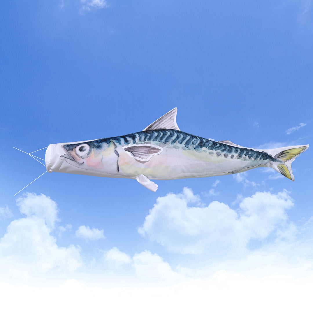 2ｍ　マサバのぼり　のぼり水族館