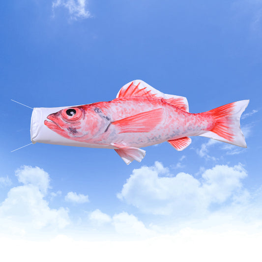 1.5ｍ　ノドグロのぼり　のぼり水族館