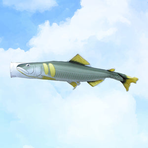 あゆのぼり のぼり水族館 – 晴れと暮らす